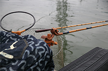 2018年 鮒友和竿懇親釣大会