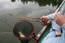 2018年 鮒友和竿懇親釣大会