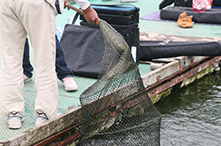 2018年 鮒友和竿懇親釣大会