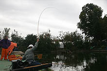 2019年 鮒友和竿懇親釣大会