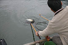 2019年 鮒友和竿懇親釣大会