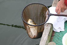 2019年 鮒友和竿懇親釣大会