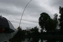 2019年 鮒友和竿懇親釣大会