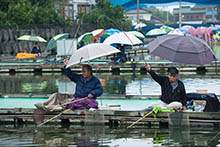 2019年 鮒友和竿懇親釣大会