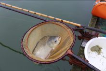 2022年 鮒友和竿懇親釣大会