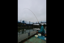 2022年 鮒友和竿懇親釣大会