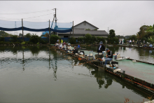 2022年 鮒友和竿懇親釣大会