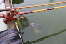 2022年 鮒友和竿懇親釣大会