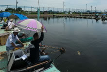 祝 魚心観 製竿60周年記念釣り大会