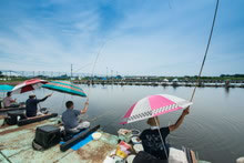 祝 魚心観 製竿60周年記念釣り大会