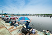 祝 魚心観 製竿60周年記念釣り大会