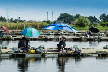 祝 魚心観 製竿60周年記念釣り大会