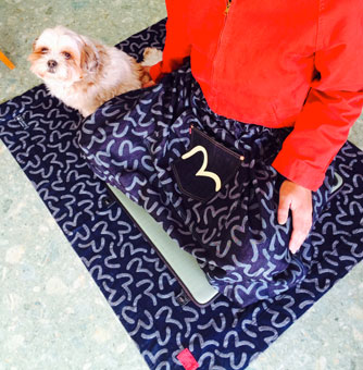 EVISU ヘラブナ釣り用スカート